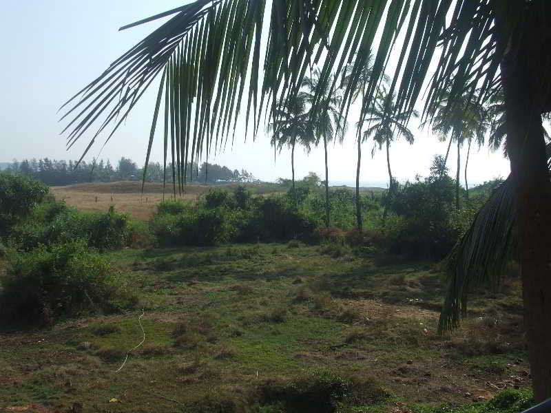 Pleasure Beach Resort Morjim Buitenkant foto